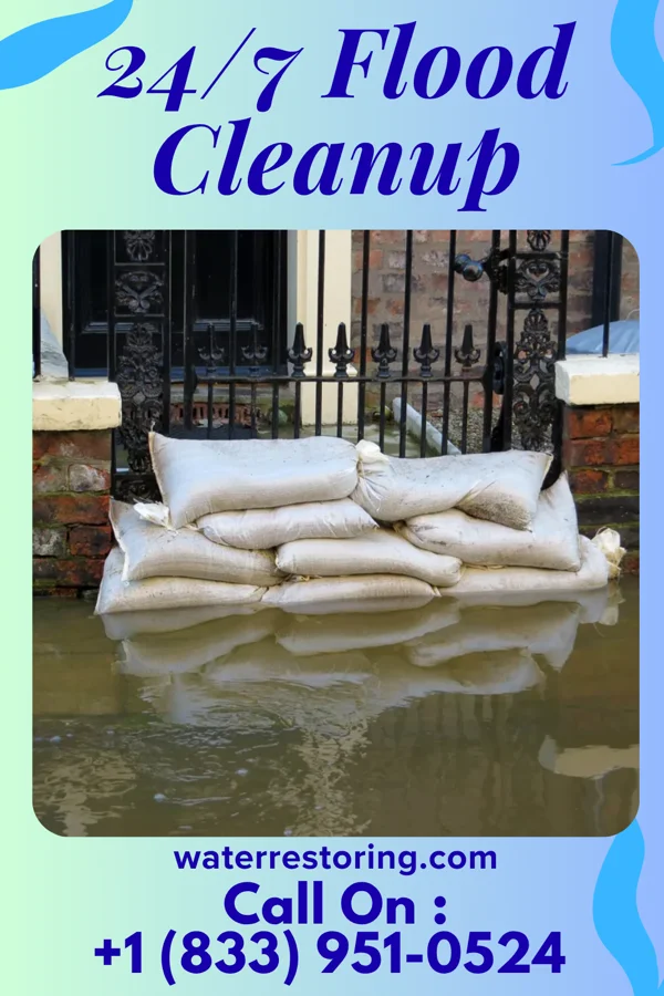 24/7 Flood Cleanup in Indianola, MS