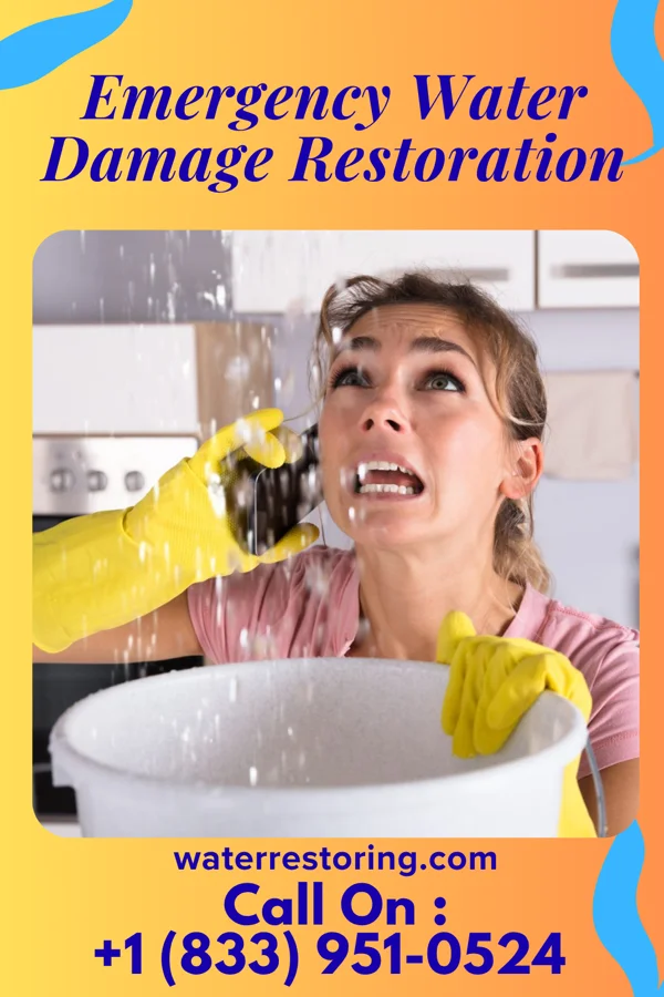 Emergency Water Damage Restoration in Indianola, MS