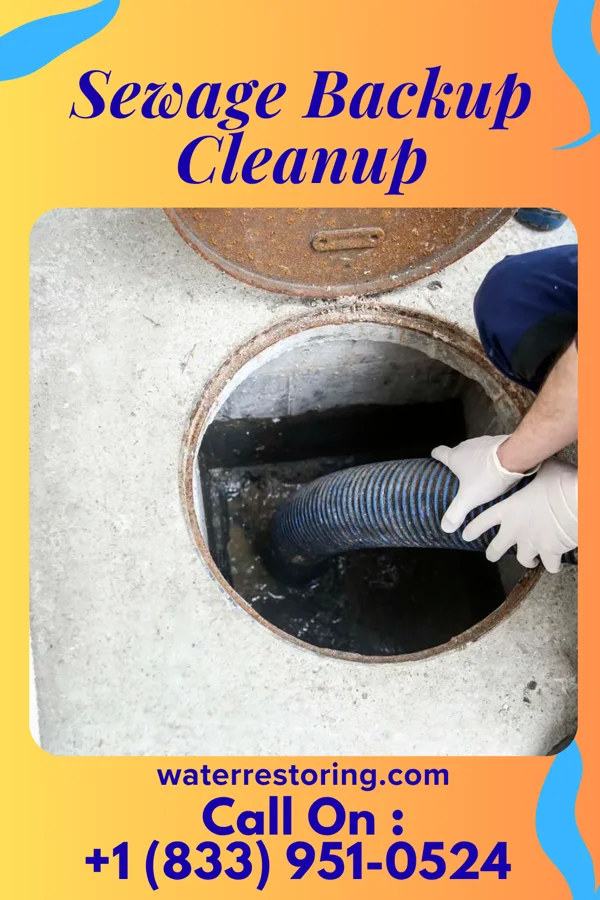Sewage Backup Cleanup in Indianola, MS