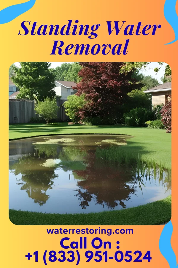 Standing Water Removal in Indianola, MS